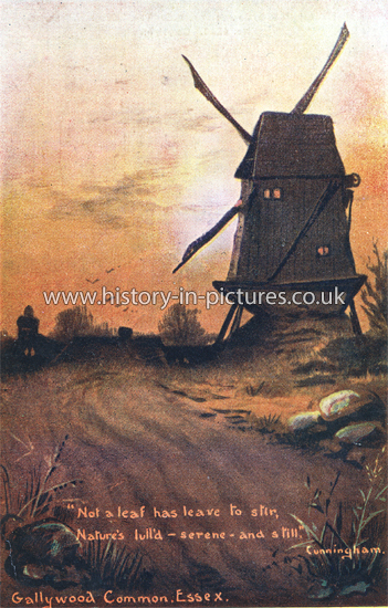 The Windmill and Common, Galleywood, Essex. c.1906